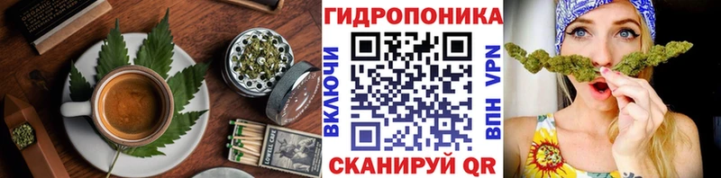 площадка формула  Терек  Cannafood конопля 