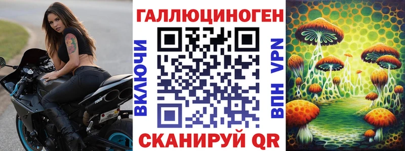 Псилоцибиновые грибы Psilocybe  Терек 